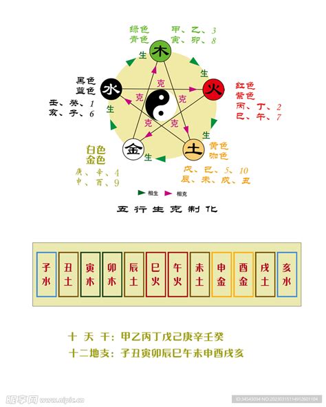 五行身體部位|八字基础之天干地支五行代表的身体部位及器官